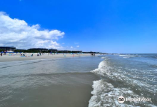 Alder Lane Beach Access景点图片