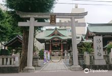 柏神社景点图片