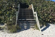 Canova Beach Dog Park景点图片