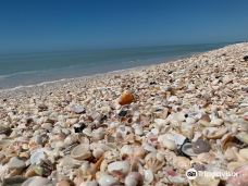 Bowman's Beach-萨尼贝尔