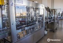 Taybeh Winery景点图片