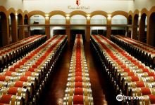 Bodegas y Vinedos Casa del Valle景点图片