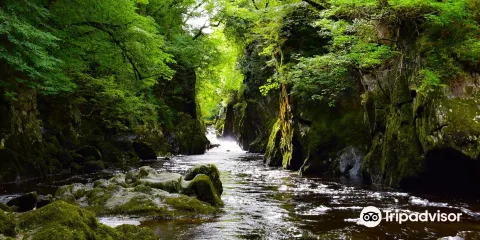 Fairy Glen