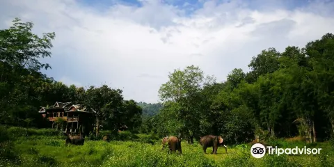 Elephant EcoValley