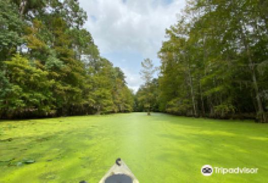 Merchants Millpond State Park景点图片