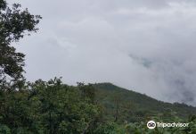 Jamboti Hills景点图片