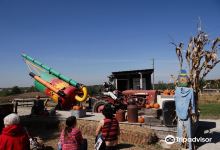 Eckert’s Millstadt Farm景点图片