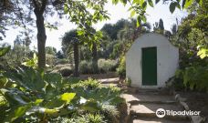 Jardin Botanico Marimurtra-布拉内斯