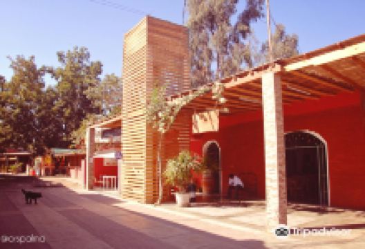 Bodega Tres Generaciones景点图片