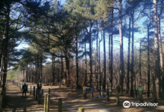 Freshfield Squirrel Reserve景点图片