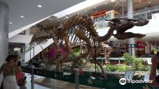 蒙古恐龙中央博物馆-乌兰巴托