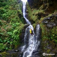 佛洛雷斯岛图片