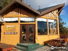 Parque Ecoturistico Cerro Viejo-圣卡洛斯-德巴里洛切