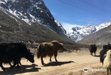Khangchendzonga Biosphere Reserve景点图片