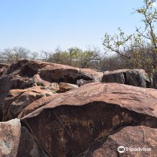 Rock Engravings at Peet Alberts Koppie-卡马尼亚布