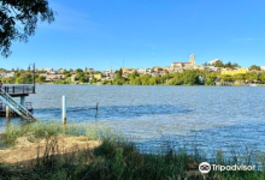 Costanera de Viedma景点图片
