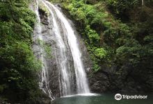 Bugtong Bato Falls景点图片