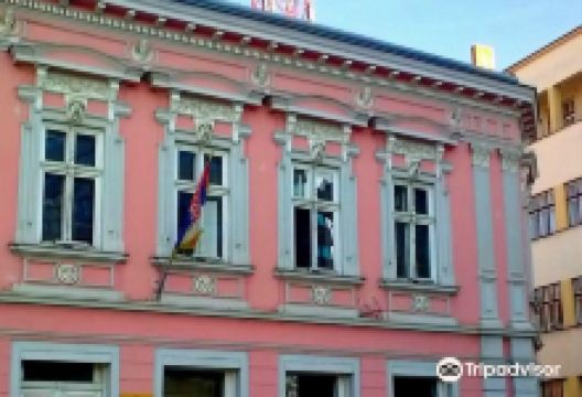 City National Library - Zarko Zrenjanin景点图片