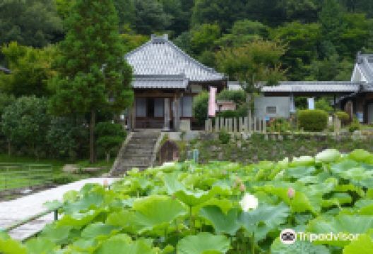 Seishinji Temple and Seishinji Park景点图片