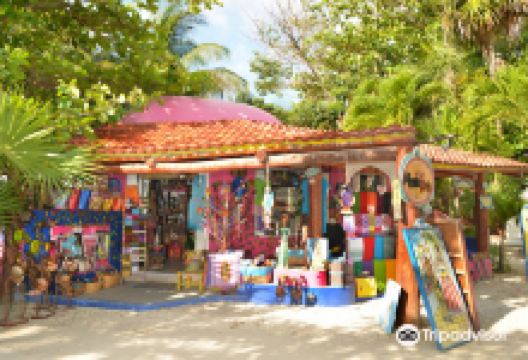 Mexicarte景点图片