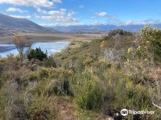 瑟蓬坦水坝-Jarrahdale