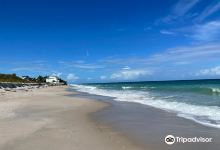 Archie Carr National Wildlife Refuge景点图片