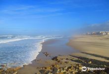 Praia do Pedrogao景点图片