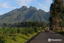 Mgahinga Gorilla National Park景点图片