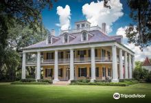 Houmas House Estate and Gardens景点图片