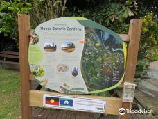 Noosa Botanic Gardens-麦克唐纳湖
