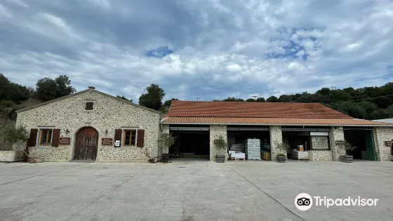 Mavroudis Family Museum and Modern Olive Oil Press
