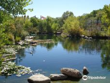 Albuquerque Biological Park-阿尔伯克基