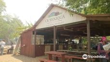 Outeniqua Farmer's Market-乔治