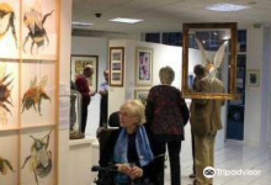 The Willow Art Gallery景点图片