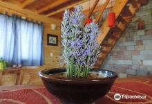 Chacra el refugio景点图片