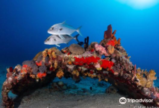 Sail Caribbean Divers购物图片