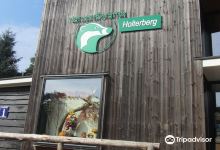 Natuurdiorama Holterberg景点图片