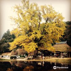 金言寺-奥出云町