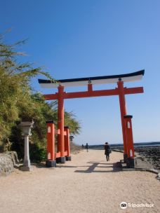 青岛神社-宫崎