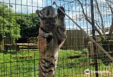 Heythrop Zoologicial Gardens景点图片