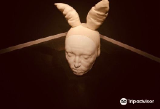 ARTALROC Sala de Exposiciones del Gobierno景点图片