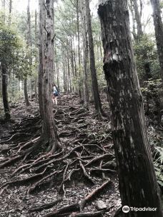 Kumano Kodo Kan Pilgrimage Center-田边市