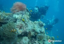 Ocean Tribe Scuba购物图片