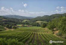 Podere Fortuna景点图片