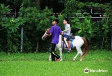 Dujiaosian Farm景点图片