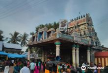 Thillai Kali Amman Temple景点图片