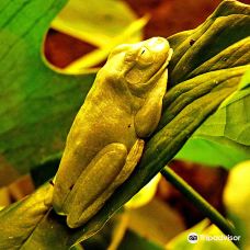 The Gardens of Appeltern-阿珀尔特伦