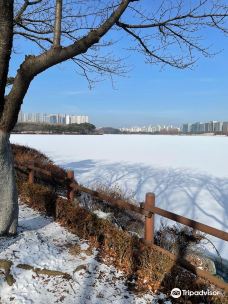 高阳湖水公园-富川市