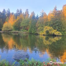 中央公园-本那比