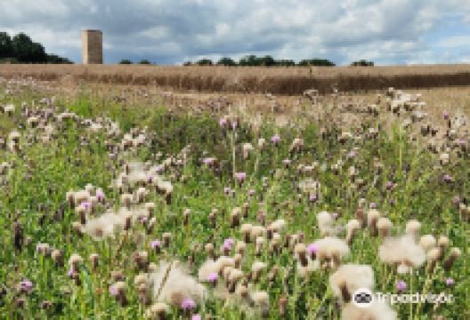 Bruder-Klaus-Kapelle景点图片